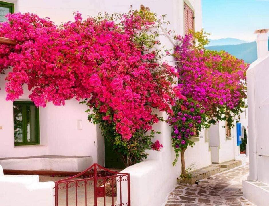 Nafpaktos Studio In Port Ιι ภายนอก รูปภาพ